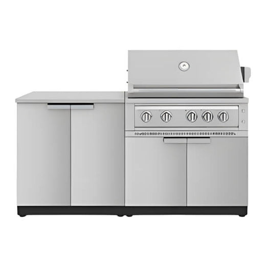 NewAge Garage Cabinets Stainless Steel 4-Piece Outdoor Kitchen Set with 36-Inch Natural Gas Platinum Grill