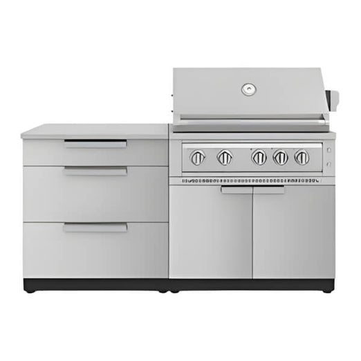 NewAge Garage Cabinets Stainless Steel 4-Piece Outdoor Kitchen Set with 36-Inch Natural Gas Platinum Grill