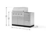 NewAge Outdoor Kitchens Outdoor Grill Island Stainless-Steel 3-Piece Cabinet Set with 3-Drawer, Grill Cabinet and Performance Grill - (Natural Gas) 
