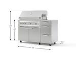 NewAge Outdoor Kitchens Outdoor Grill Island Stainless-Steel 4-Piece Cabinet Set with Casters and 3-Drawer, Grill Cabinet, Platinum Grill, Countertop-74847-Garage Giant 