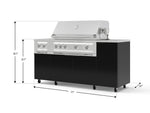 NewAge Outdoor Kitchens Outdoor Grill Island Aluminum 6-Piece Cabinet Set with Casters and 1-Door, Grill Cabinet, Platinum Grill, Dual Side Burner, Countertop 