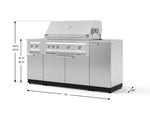 NewAge Outdoor Kitchens Outdoor Grill Island Stainless-Steel 6-Piece Cabinet Set with 1-Door, Grill Cabinet, Platinum Grill, Dual Side Burner and Countertop-74553-Garage Giant 