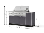 NewAge Outdoor Kitchens Outdoor Grill Island Aluminum 6-Piece Cabinet Set with 1-Door, Grill Cabinet, Platinum Grill, Dual Side Burner and Dekton in Aeris Countertop - (Natural Gas) 