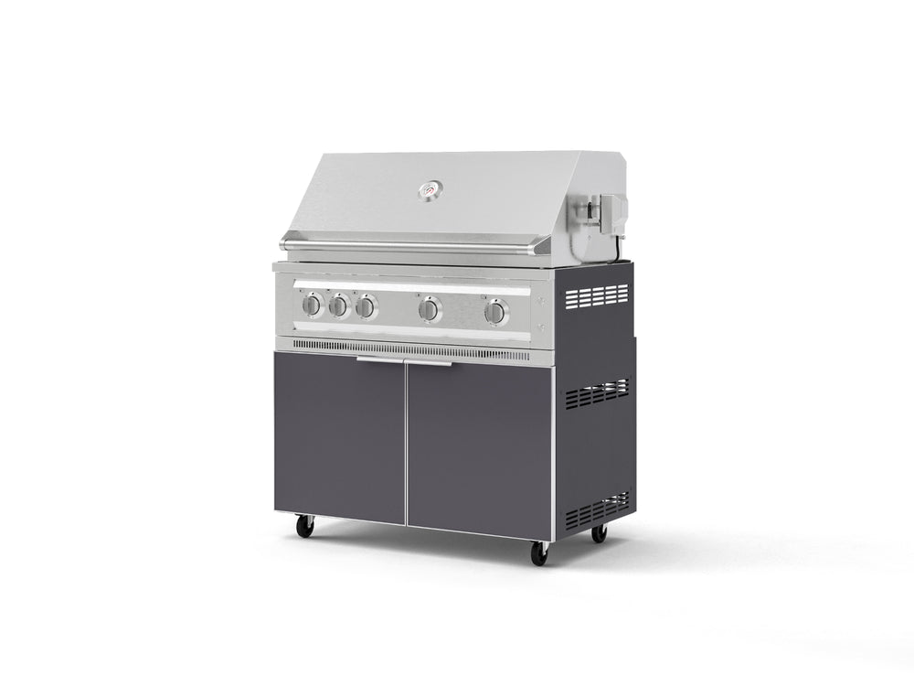 NewAge Outdoor Kitchens Aluminum 2-Piece Cabinet Set with Casters, Grill Cabinet and Platinum Grill-72941-Garage Giant