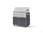 NewAge Outdoor Kitchens Aluminum 2-Piece Cabinet Set with Casters, Grill Cabinet and Platinum Grill-72941-Garage Giant 