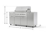 NewAge Outdoor Kitchens Outdoor Grill Island Stainless-Steel 6-Piece Cabinet Set with Casters and 1-Door, Grill Cabinet, Platinum Grill, Dual Side Burner, Countertop-74864-Garage Giant 