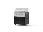 NewAge Outdoor Kitchens Aluminum 2-Piece Cabinet Set with Casters, Grill Cabinet and Performance Grill-72909-Garage Giant 