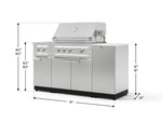 NewAge Outdoor Kitchens Outdoor Grill Island Stainless-Steel 6-Piece Cabinet Set with 1-Door, Grill Cabinet, Platinum Grill, Dual Side Burner and Dekton in Aeris Countertop - (Liquid Propane) 