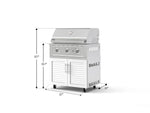 NewAge Outdoor Kitchens Stainless Steel 2-Piece Cabinet set with Grill Cabinet and Performance Grill-72921-Garage Giant 