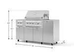 NewAge Outdoor Kitchens Outdoor Grill Island Stainless-Steel 6-Piece Cabinet Set with Casters and 1-Door, Grill Cabinet, Platinum Grill, Dual Side Burner, Countertop-74863-Garage Giant 