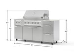 NewAge Outdoor Kitchens Outdoor Grill Island Stainless-Steel 6-Piece Cabinet Set with Casters and 3-Drawer, Grill Cabinet, Platinum Grill, Dual Side Burner and Dekton in Aeris Countertop - (Liquid Propane) 