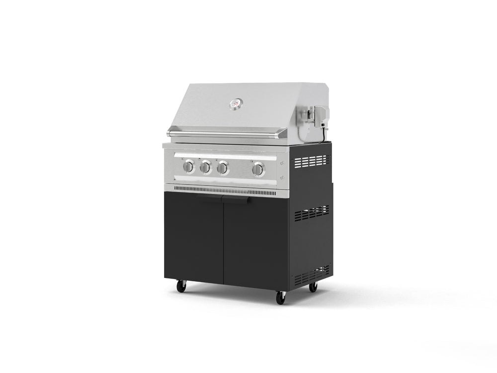 NewAge Outdoor Kitchens Stainless Steel 2-Piece Cabinet set with Casters Grill Cabinet and Platinum Grill-72903-Garage Giant