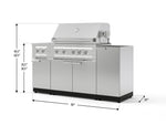 NewAge Outdoor Kitchens Outdoor Grill Island Stainless-Steel 5-Piece Cabinet Set with 1-Door, Grill Cabinet, Dual Side Burner and Platinum Grill - (Liquid Propane) 