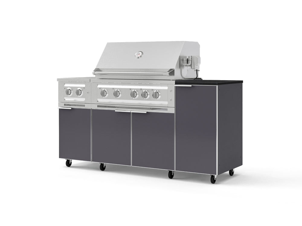 NewAge Outdoor Kitchens Outdoor Grill Island Aluminum 6-Piece Cabinet Set with Casters and 1-Door, Grill Cabinet, Platinum Grill, Dual Side Burner and Dekton in Sirius Countertop - (Liquid Propane) | Garage Giant