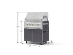NewAge Outdoor Kitchens Aluminum 2-Piece Cabinet Set with Casters, Grill Cabinet and Platinum Grill-72939-Garage Giant 
