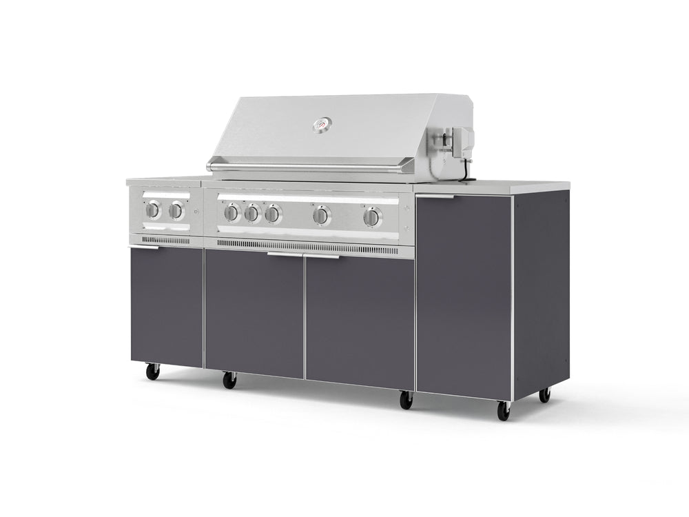 NewAge Outdoor Kitchens Outdoor Grill Island Aluminum 6-Piece Cabinet Set with Casters and 1-Door, Grill Cabinet, Platinum Grill, Dual Side Burner, Countertop-74859-Garage Giant