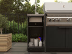 NewAge Outdoor Kitchens Stainless Steel 16 in. Sink Cabinet 