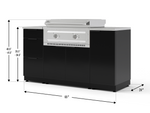 NewAge Outdoor Kitchens Classic Series 6-Piece Griddle Island · Aluminum · Tempered Glass Door · Platinum Griddle 