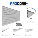 Proslat PROCORE+ Silver Gray Carbon Fiber Slatwall Mini Bundle-37706K-Garage Giant 
