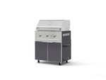 NewAge Outdoor Kitchens Aluminum 2-Piece Cabinet Set with Casters, Grill Cabinet and Performance Grill-72933-Garage Giant 