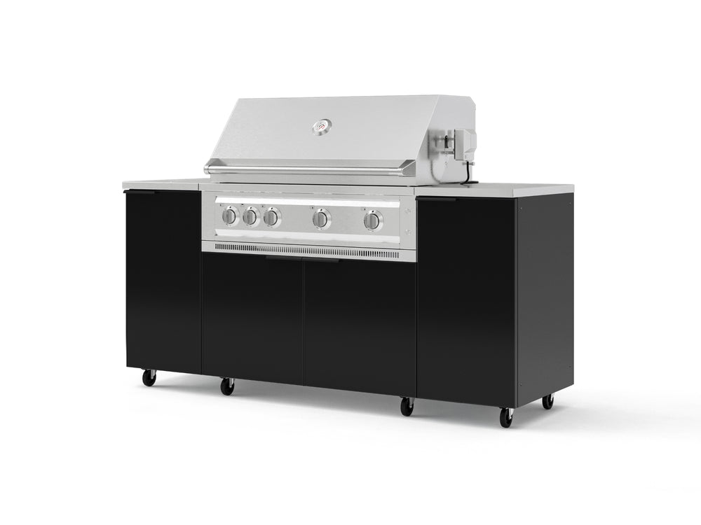 NewAge Outdoor Kitchens Outdoor Grill Island Aluminum 6-Piece Cabinet Set with Casters and 1 Door, Grill Cabinet, Platinum Grill, Countertops | 74109