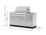 NewAge Outdoor Kitchens Outdoor Grill Island Stainless-Steel 5-Piece Cabinet Set with 1-Door, Grill Cabinet, Dual Side Burner and Platinum Grill - (Liquid Propane) 