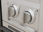 NewAge Outdoor Kitchens Stainless Steel Platinum Dual Side Burner-67190-Garage Giant 