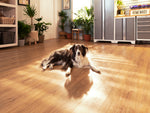 NewAge Garage Flooring Stone Composite LVP 1000 sq. ft. Flooring Kit - Natural Oak 
