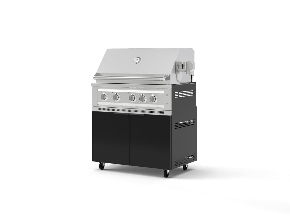NewAge Outdoor Kitchens Aluminum 2-Piece Cabinet Set with Casters, Grill Cabinet and Platinum Grill-72916-Garage Giant