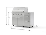 NewAge Outdoor Kitchens Outdoor Grill Island Stainless-Steel 4-Piece Cabinet Set with Casters and 3-Drawer, Grill Cabinet, Performance Grill, Countertop 