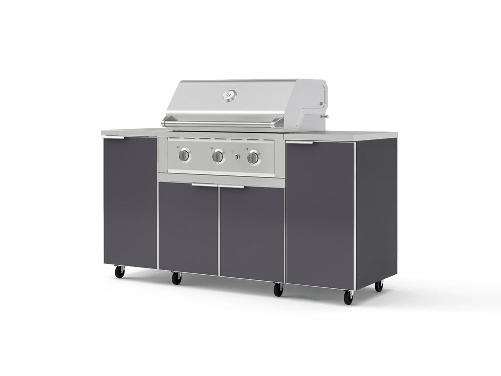 NewAge Outdoor Kitchens Outdoor Grill Island Aluminum 6-Piece Cabinet Set with Casters and 1 Door, Grill Cabinet, Performance Grill, Countertops | 74890