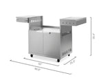 NewAge Outdoor Kitchens NewAge Classic Stainless Steel Gas 33" Grill Cart-66958-Garage Giant 