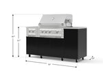 NewAge Outdoor Kitchens Outdoor Grill Island Aluminum 6-Piece Cabinet Set with Casters and 1-Door, Grill Cabinet, Platinum Grill, Dual Side Burner, Countertop 