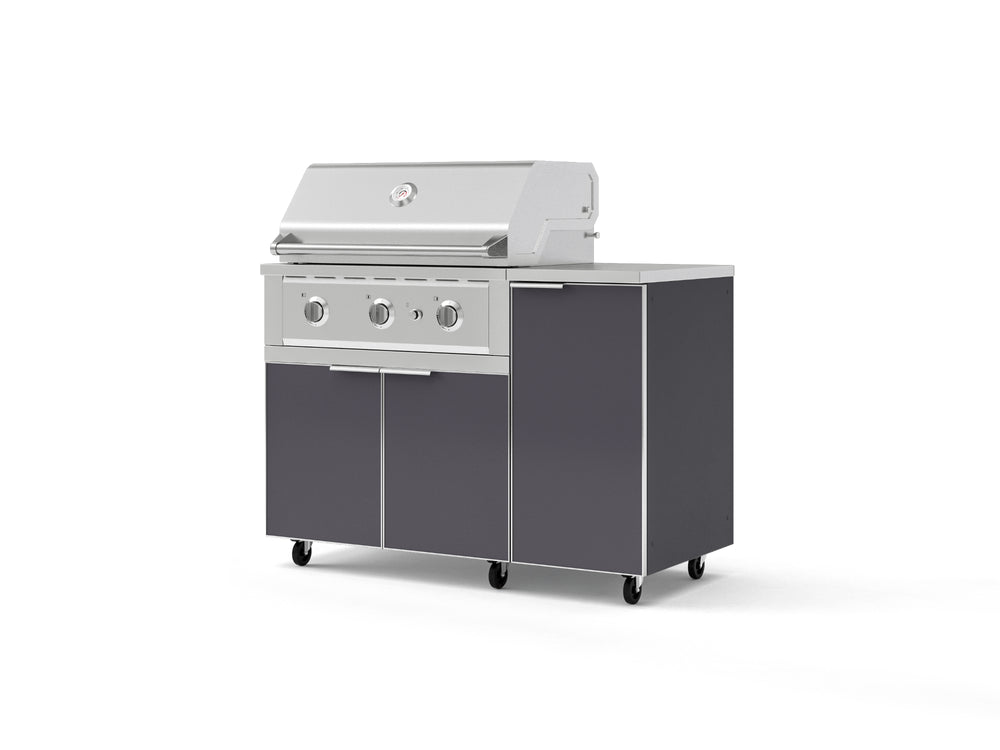 NewAge Outdoor Kitchens Outdoor Grill Island Aluminum 4-Piece Cabinet Set with Casters and 1 Door, Grill Cabinet, Performance Grill, Countertop | 74818