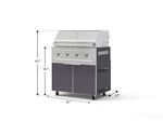 NewAge Outdoor Kitchens Aluminum 2-Piece Cabinet Set with Casters, Grill Cabinet and Performance Grill-72934-Garage Giant 