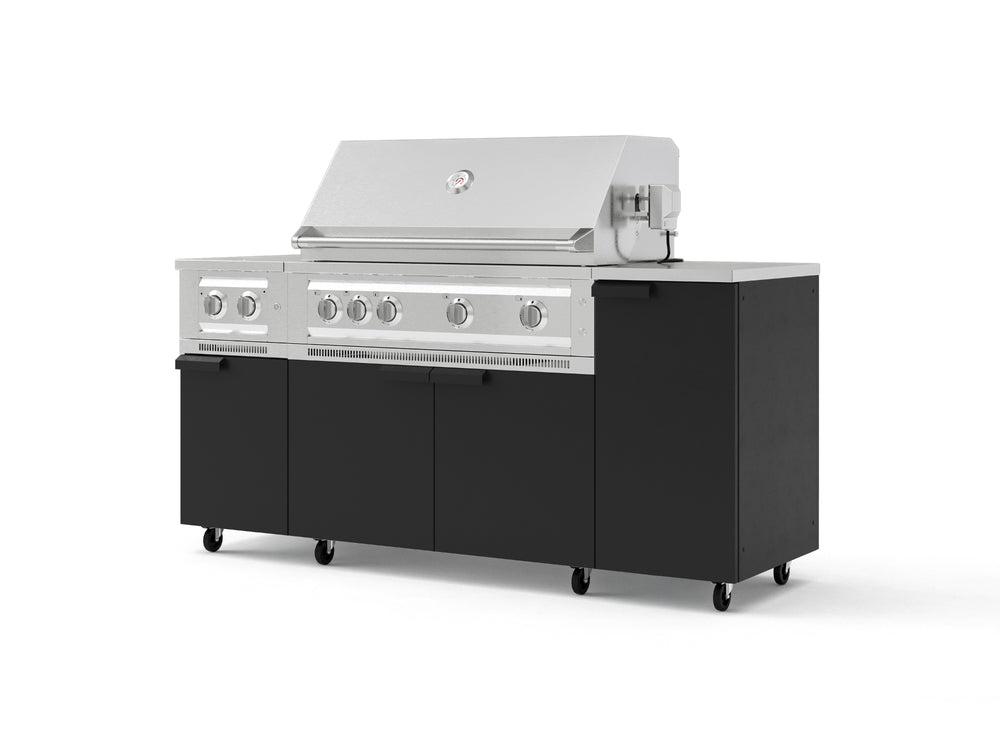 NewAge Outdoor Kitchens Outdoor Grill Island Stainless-Steel 6-Piece Cabinet Set with Casters and 1-Door, Grill Cabinet, Platinum Grill, Dual Side Burner, Countertop | 77375