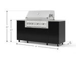 NewAge Outdoor Kitchens Outdoor Grill Island Aluminum 6-Piece Cabinet Set with Casters and 1 Door, Grill Cabinet, Platinum Grill, Countertops 