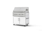 NewAge Outdoor Kitchens Stainless Steel 2-Piece Cabinet set with Grill Cabinet and Platinum Grill-72929-Garage Giant 