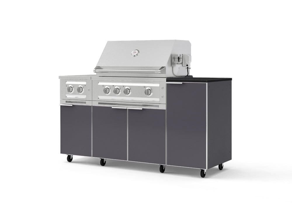 NewAge Outdoor Kitchens Outdoor Grill Island Aluminum 6-Piece Cabinet Set with Casters and 1-Door, Grill Cabinet, Platinum Grill, Dual Side Burner and Dekton in Sirius Countertop - (Liquid Propane) | Garage Giant