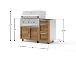 NewAge Outdoor Kitchens Outdoor Grill Island Stainless-Steel Louvered Doors 3-Piece Cabinet Set with Casters and 3-Drawer, Grill Cabinet and Performance Grill - (Liquid Propane) 