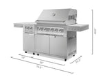 Newage Products Outdoor Kitchen Stainless Steel 2-Piece Grill Cart with Platinum Grill and Dual Side Burner-67114-33-Liquefied Propane (LP)-Garage Giant 