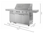 Newage Products Outdoor Kitchen Stainless Steel 2-Piece Grill Cart with Platinum Grill and Dual Side Burner-67114-33-Liquefied Propane (LP)-Garage Giant 