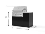 NewAge Outdoor Kitchens Outdoor Grill Island Aluminum 4-Piece Cabinet Set with 1 Door, Grill Cabinet, Platinum Grill and Countertop 