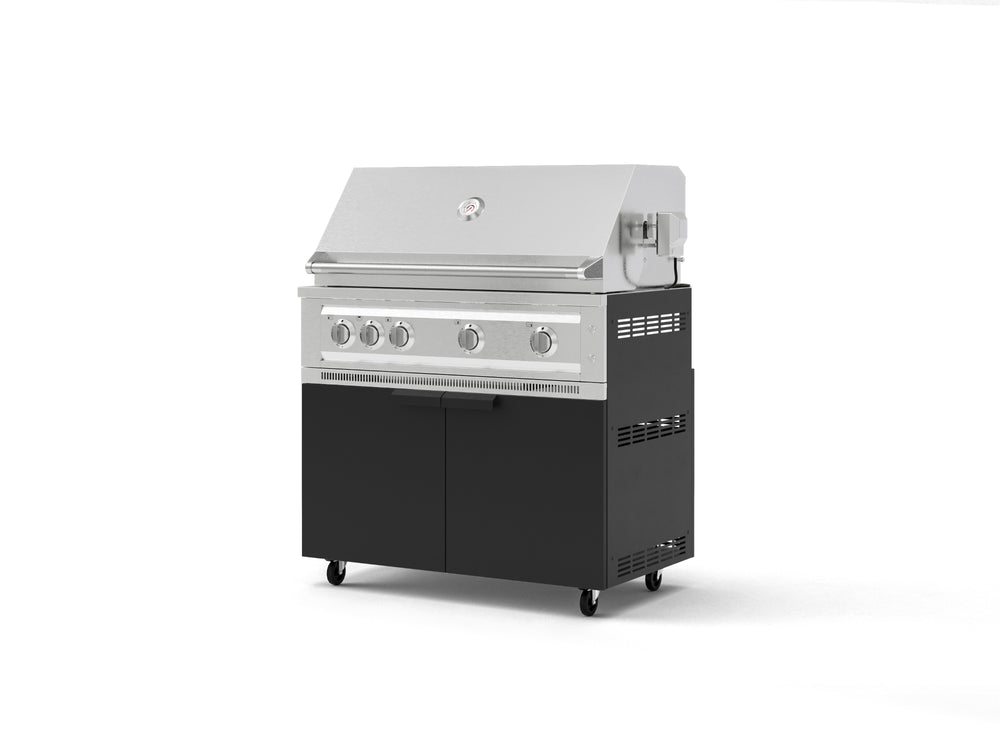 NewAge Outdoor Kitchens Stainless Steel 2-Piece Cabinet set with Casters Grill Cabinet and Platinum Grill-72905-Garage Giant