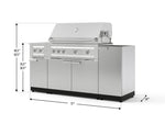 NewAge Outdoor Kitchens Outdoor Grill Island Stainless-Steel 5-Piece Cabinet Set with 1-Door, Grill Cabinet, Dual Side Burner and Platinum Grill - (Natural Gas) 