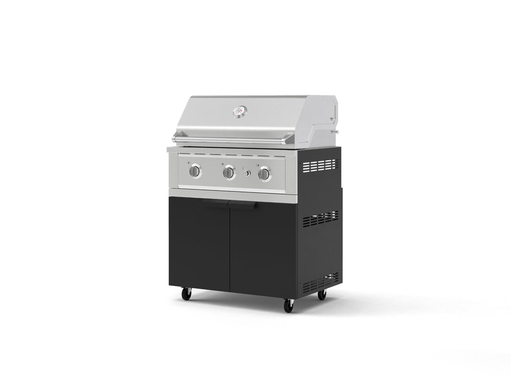 NewAge Outdoor Kitchens Stainless Steel 2-Piece Cabinet set with Casters, Grill Cabinet and Performance Grill-72897-Garage Giant