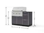 NewAge Outdoor Kitchens Outdoor Grill Island Aluminum 4-Piece Cabinet Set with 3-Drawer, Grill Cabinet, Performance Grill and Countertop - (Natural Gas) 