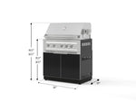 NewAge Outdoor Kitchens Aluminum 2-Piece Cabinet Set with Grill Cabinet and Platinum Grill-74792-Garage Giant 