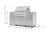 NewAge Outdoor Kitchens Outdoor Grill Island Stainless-Steel 6-Piece Cabinet Set with Casters and 1 Door, Grill Cabinet, Platinum Grill, Countertops 