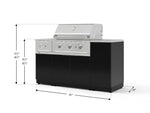 NewAge Outdoor Kitchens Outdoor Grill Island Aluminum 6-Piece Cabinet Set with 1-Door, Grill Cabinet, Performance Grill, Side Burner and Countertop 